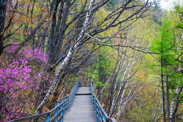 云蒙山国家森林公园 生态旅游的首选胜地
