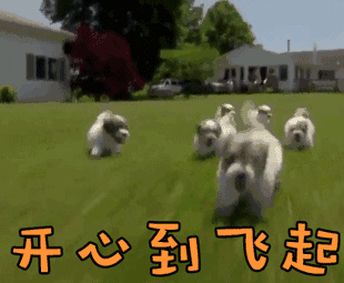 趣观世界|边签文件边看书,热爱文学的普京了解一下?