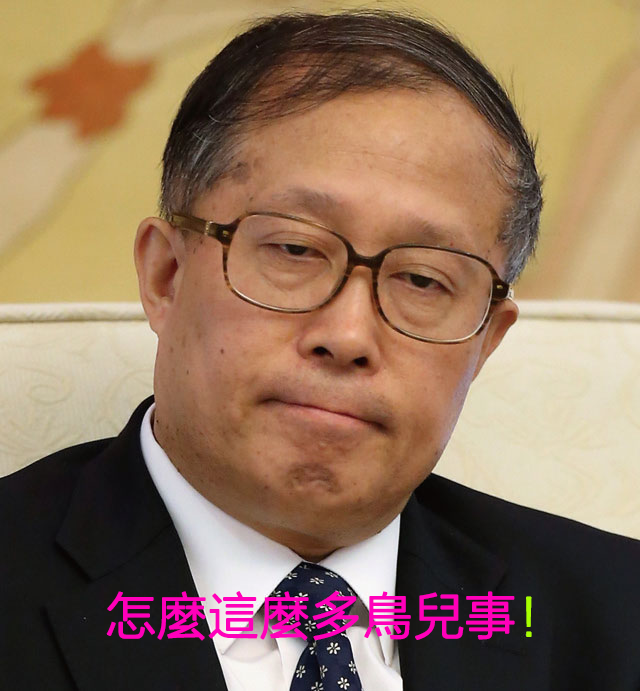 哪有鳥兒能活著飛出天津!