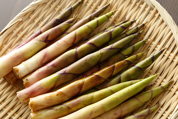 味蕾福利:这一年中最鲜美的季节来了!