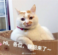 趣观世界|生命高于颜值!法国“严打”络腮胡消防员