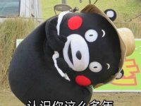 趣观世界|认真的?印度日历一年有372天,2月有31天