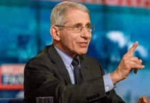 纽约新冠病毒来自哪里?美国“抗疫队长”给出肯定答案