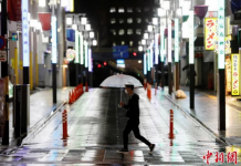 疫情下的华人“亲子战”:家家都有本难念的经