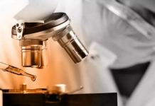 世卫发言人:现有证据表明新冠病毒起源自动物