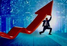 股市大跌:阶段性调整还是牛市终结?