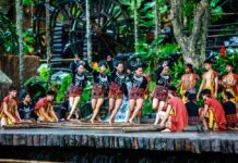 世界罕见的健美操——黎族打柴舞|闲话海南