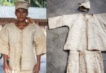 大名鼎鼎的“见血封喉”树,竟是树皮布的原材料!|闲话海南