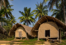 这个房子有点怪!外形酷似船篷的黎族船型屋|闲话海南