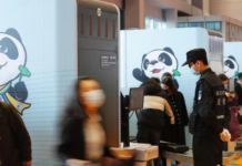 从两会看进博会:中国如何更好“买全球”?