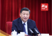 平视世界,习近平说中国的“势”与“事”