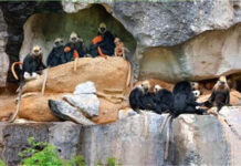 广西云慢直播“壮族三月三”山含情来水含笑,桂风壮韵等你来。