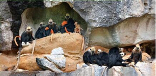 广西云慢直播“壮族三月三”山含情来水含笑,桂风壮韵等你来。