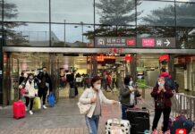 抵港旅客大赞通关首日服务贴心 相信兔年春节必定更温暖