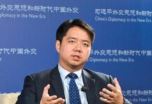 中國自信的大國外交,不介懷西方給的“帽子”