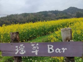 海外華文媒體感受網紅鄉村的“詩和遠方”