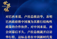 巴西學者:中巴在彼此發展過程中具有重要地位|世界觀