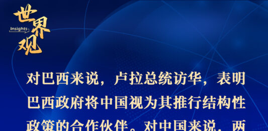 巴西學者:中巴在彼此發展過程中具有重要地位|世界觀