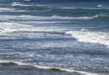 专家:核污水最快360天后流入香港