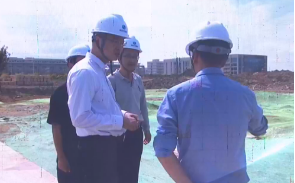 王新刚:努力当好中印尼“两国双园”建设者 - 國際日報