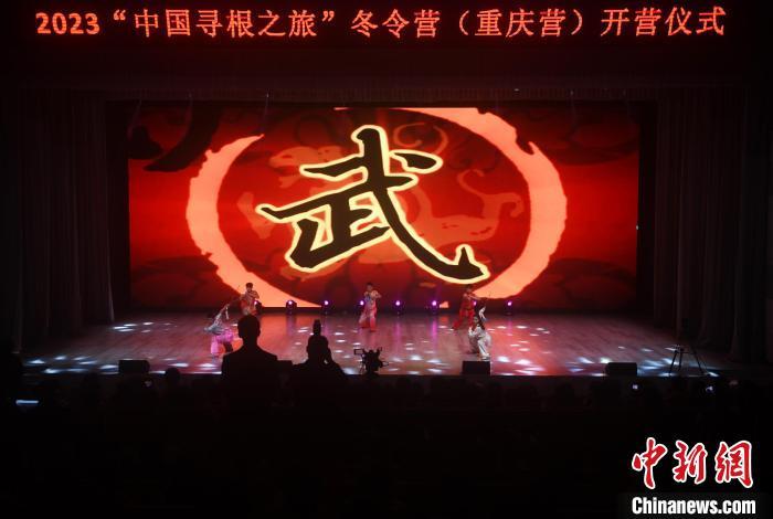 中国侨网图为开营仪式上的武术表演。中新网记者 周毅 摄