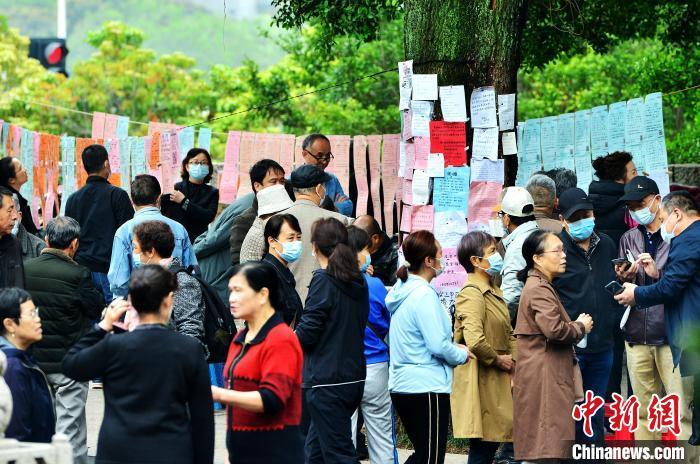 中国侨网图为4月6日，福州于山传统相亲角，民众在相互交流子女情况。 中新网记者 张斌 摄