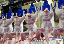 香港暂停进口美国部分地区禽肉及禽类产品