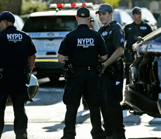 美国逮捕恐怖活动嫌疑犯数量增加655%