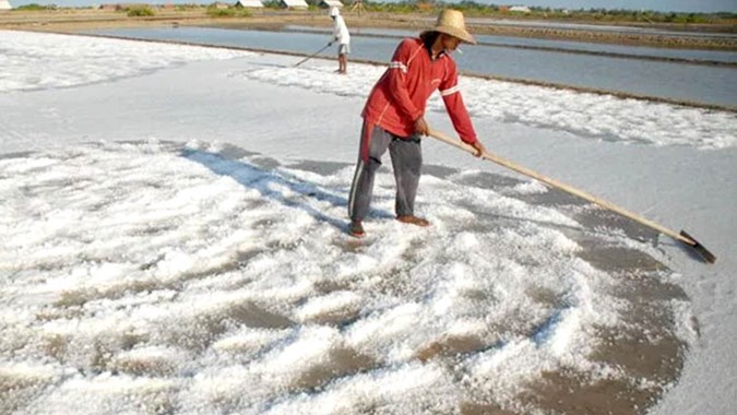我国食盐供应仍短缺西努省将成为盐业生产中心