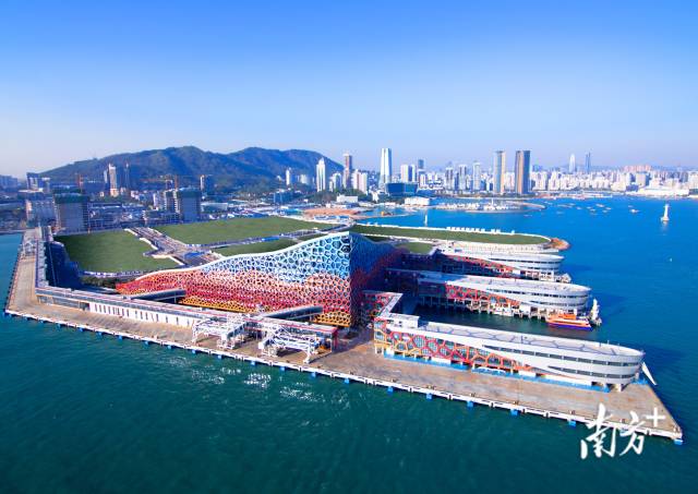 深圳蛇口邮轮母港，受访者供图