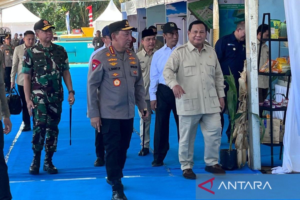 红白双方，现有的合作社将被告知协同作用：Prabowo