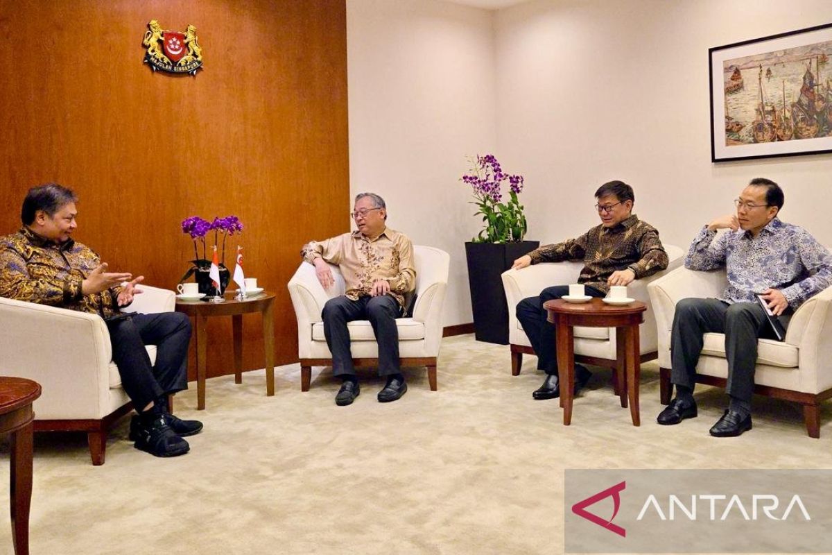印尼政府寻求新加坡更大投资