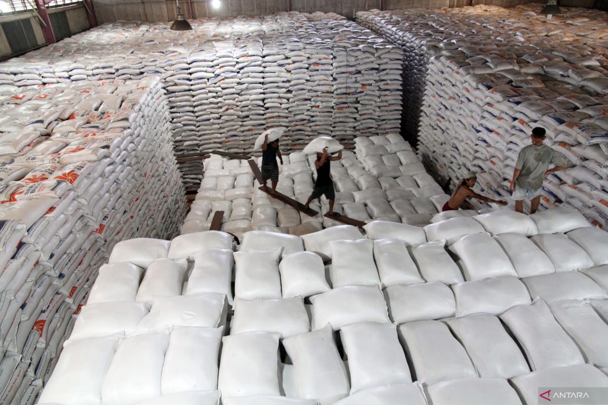 Indonesia's rice reserves hit record high: Over 4 million tons stored