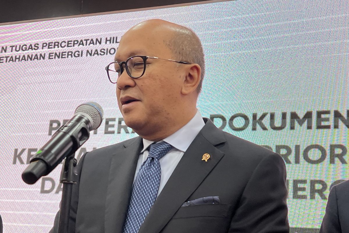 中国丹南塔拉在印度尼西亚的 $1.42B 镍项目上合伙