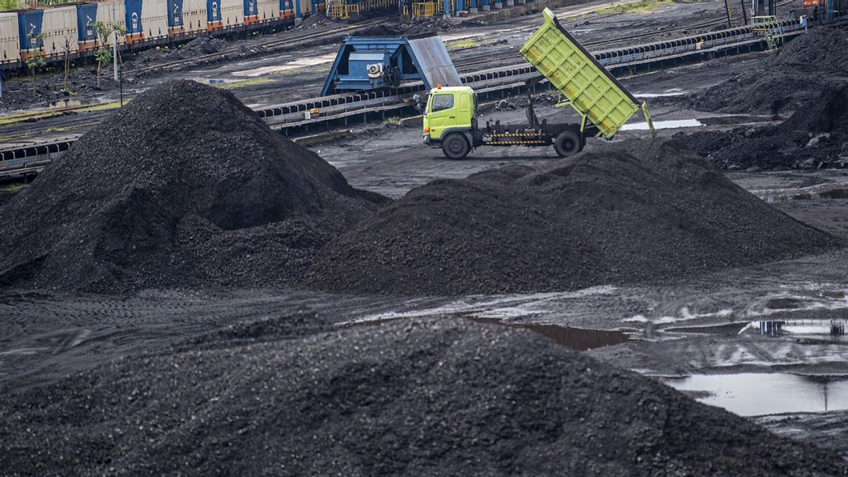 截至 76 年 9 月，Minerba PNBP 的大部分煤炭规模达到 2025.<> 万亿印尼盾