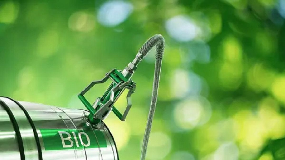 Komut PLN EPI Pede 的目标是今年实现 3 万吨生物质