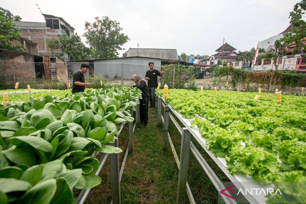 中苏拉威西岛放宽千禧一代农民的营业许可