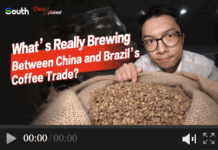 China Xplained | What’s really brewing between China and Brazil’s coffee trade?