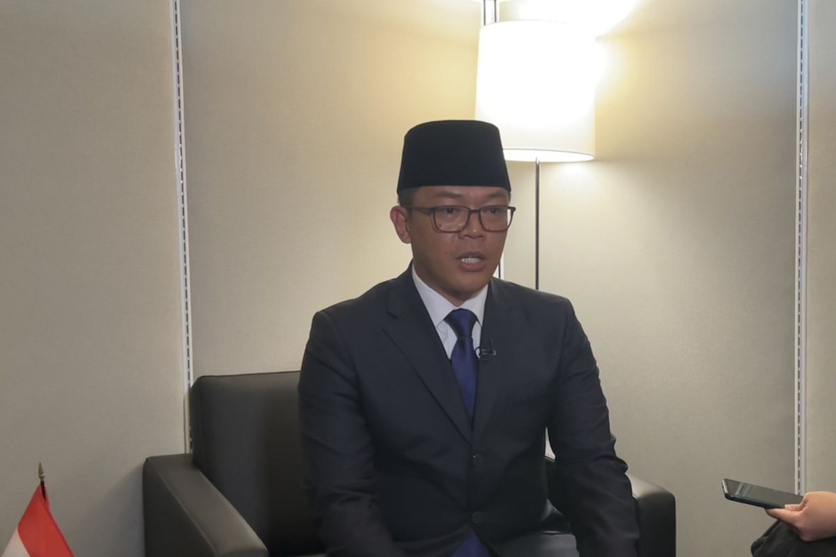 印尼FM敦促金砖国家推动全球金融改革，实现可持续发展目标