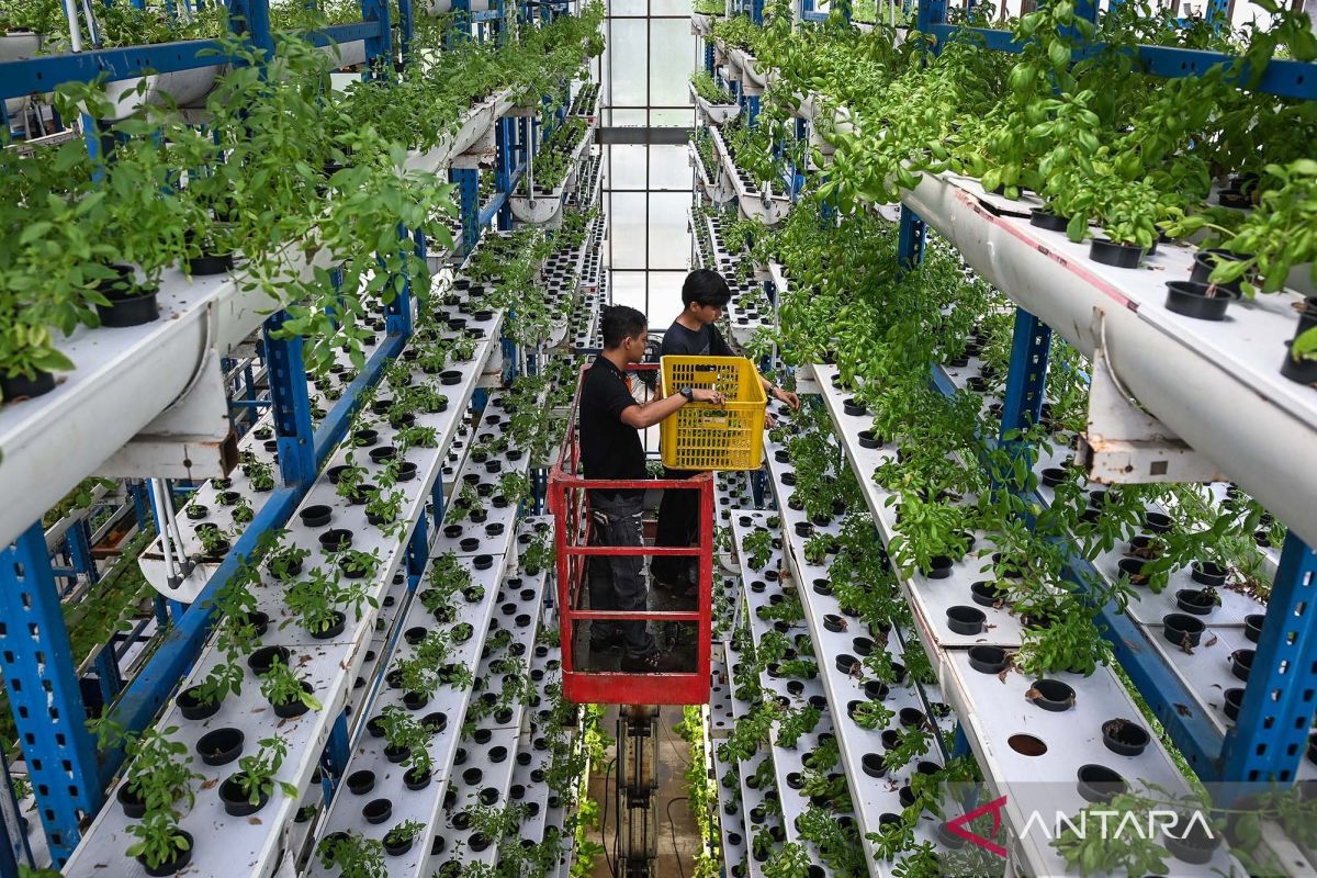 印尼推动农业工业化解决收入陷阱