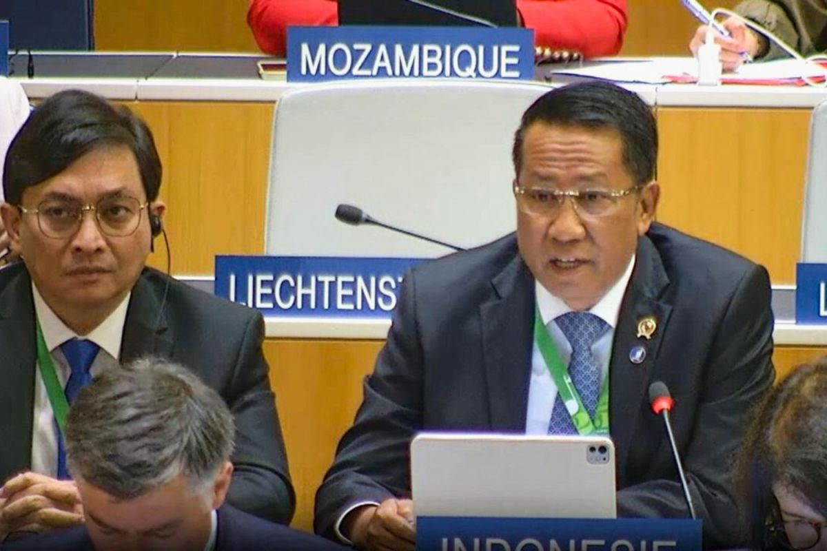 印度尼西亚全球特许权使用费提案正式纳入产权组织议程