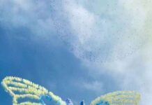 15,947 Drones! Shenzhen drone show breaks Guinness World Record again, staging fireworks with tech magic