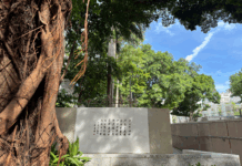 【大美广东·中印尼双语】(Bilingual Cina dan Indonesia)十三行历史痕迹隐藏在这里!广州文化公园原“汉城”地块改造