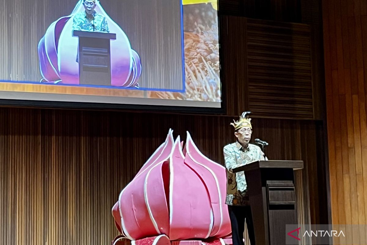 印度尼西亚能源转型中的生物能源战略:该部