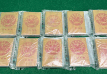 大马旅客行李藏190万港元毒品抵香港被捕