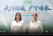 【大美广东·中印尼双语】(Bilingual Cina dan Indonesia)广宁云吞美食文化推介会在广州天河南热闹开启