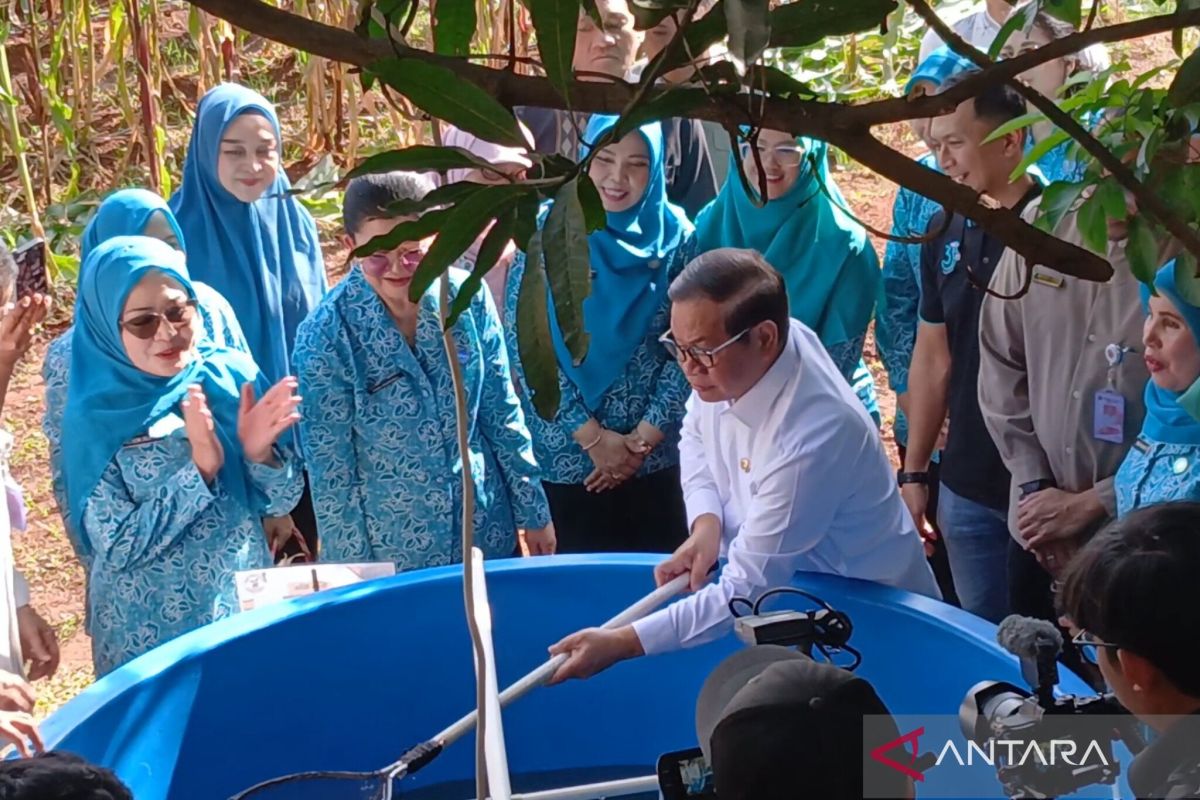 雅加达允许政府与私人合作开发绿地