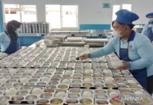 部长:免费营养餐计划助力民众经济改善