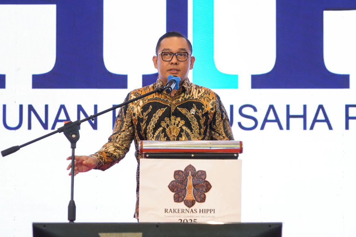 300 万家新业务反映了印度尼西亚的强劲增长：政府