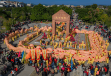 自有故乡情!外交部赵立坚为韶关打call